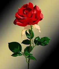 49118-images.jpg, 6 KB